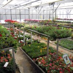 Photo 014