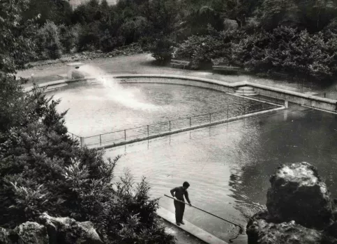 Vue sur le bassin de natation