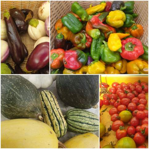 Photo légumes divers