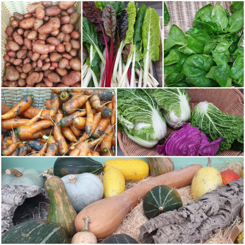 Légumes de saison