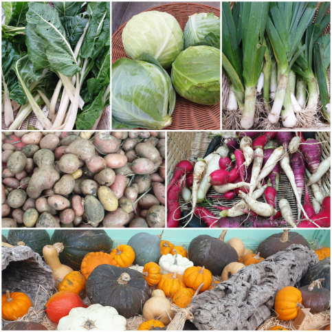 Légumes de l'espace de vente 