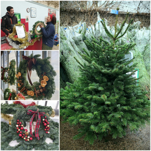 sapins et couronnes de Noël 
