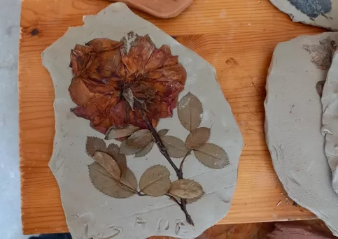 Fleur sur argile