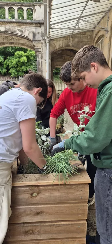 Elèves qui disposent des plantes dans un pot 