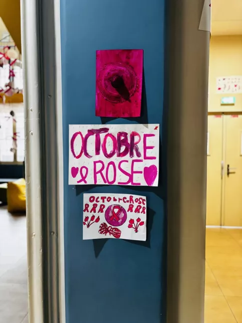 Décoration sur une porte pour octobre rose